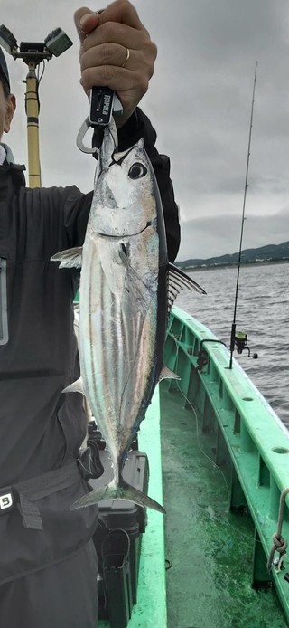 釣果
