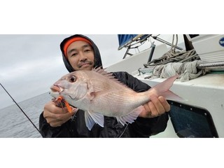 【釣果速報】神奈川県かりゆし丸でマダイ・ホンカツオ・イトヨリなどと人気魚種続々ゲット！いろいろな魚との出会いを楽しみたい人は即予約を！