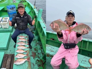 【釣果速報】神奈川県網屋丸でマダイGET！ヒラソーダやイサキ混じりで絶好調！乗客全員複数枚キャッチで大満足の釣行に！