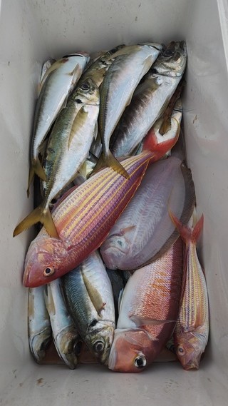 釣果