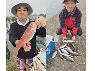 【釣果速報】アジ・アカアマダイ・イトヨリなどオールスター集う！人気魚種をバラエティ豊かに釣りたいなら千葉県フィッシュオン大勝に乗船だ！