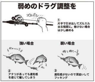 落ちシーズンへ移行で大型も 横須賀沖のタイラバが熱い！