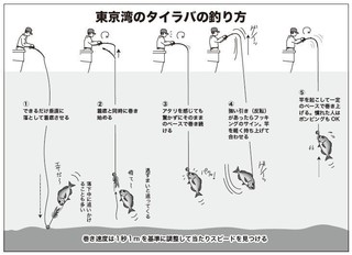 落ちシーズンへ移行で大型も 横須賀沖のタイラバが熱い！