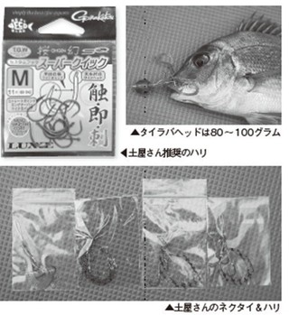 落ちシーズンへ移行で大型も 横須賀沖のタイラバが熱い！