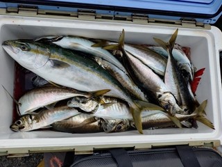 釣果