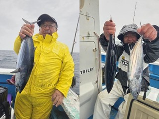 【釣果速報】神奈川県ちがさき丸でキハダマグロ・ホンカツオがヒットで好調！キハダ最大48.40kg！今後も期待大！