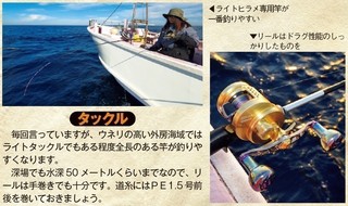 タックルの写真