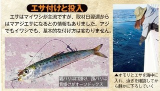 エサ付けと投入の写真