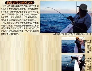 ワンポイントの写真