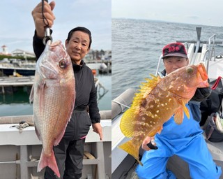 【釣果速報】マダイにアコウ、アラカブ！福岡県木鶏丸に乗るとクーラーボックスが高級魚の宝石箱になるぞ！