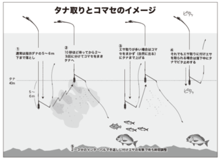 タナ取りとコマセのイメージ