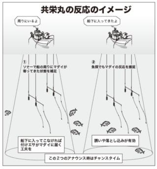 共栄丸の反応のイメージ