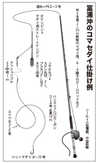 富浦沖のコマセダイ仕掛け例