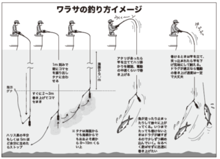 釣り方イメージ
