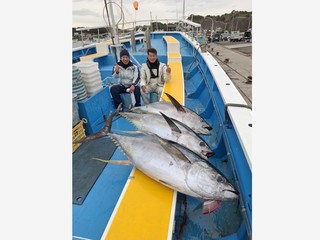 【釣果速報】神奈川県成銀丸でカツオ・キハダの当たりが続き絶好調！キハダ最大52.10kg！今後も期待大！