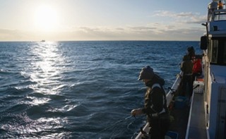 ポイントの写真