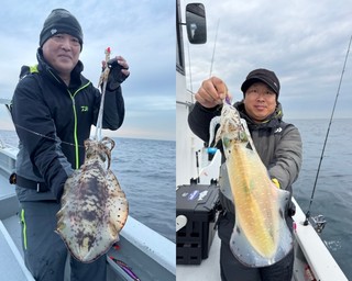 【釣果速報】アオリイカが終日ヒット！千葉県赤沼丸に乗船して憧れの高級イカを釣りに行こう！