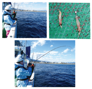 釣行の写真