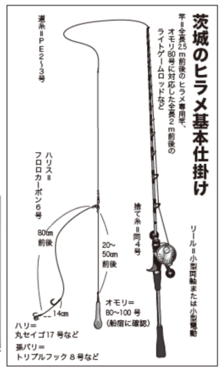 茨城のヒラメ基本仕掛け