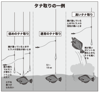 タナ取りの一例
