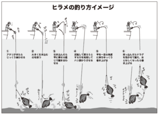ヒラメの釣り方イメージ