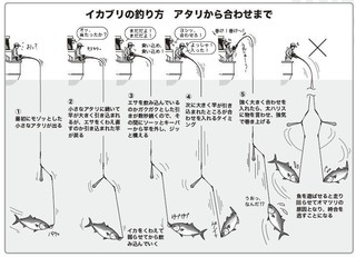釣り方の図