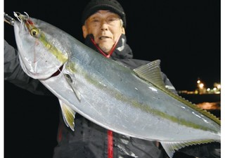 今シーズンはサイズがいい!東伊豆のイカブリ好発進