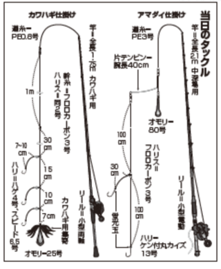 当日のタックル