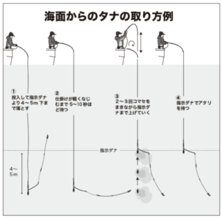 海面からのタナの取り方例