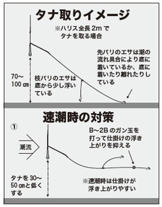 タナ取りイメージの図