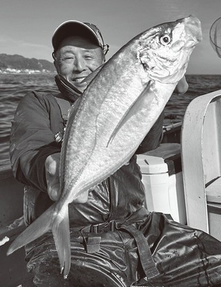 白間津沖のシマアジ 太仕掛けで良型ゲット