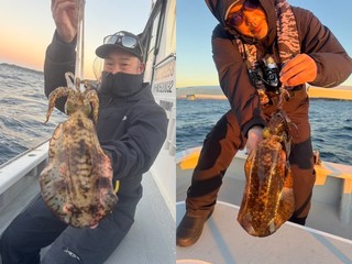 【釣果速報】千葉県赤沼丸でアオリイカGET!竿頭6匹!絶品アオリイカを自分の手で釣り上げてみませんか?