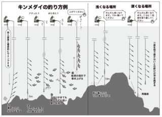 フルレンタルで楽しめる城ヶ島沖のキンメダイ