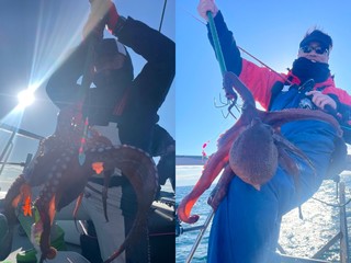 【釣果速報】空前絶後のマダコフィーバーに沸く茨城県日立丸!3.80kgのマダコを筆頭に好釣!釣果にこだわる人は乗船一択!