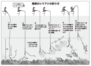 南房のシマアジの釣り方