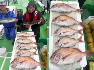 【釣果速報】神奈川県あまさけや丸でマダイ・カワハギ・タカノハダイなど海の人気者を次々GET！多種多様な魚と出会いたいなら今すぐ乗船を！