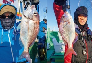 良型ぞろいに多彩な魚種も　飯岡沖のハナダイ五目盛況
