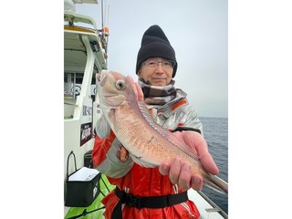 【釣果速報】39cmのデカアマをキャッチ！神奈川県たいぞう丸の船長が厳選したポイントで人生最大のシロアマダイを捕まえよう！