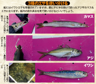 3種のエサを使い分ける