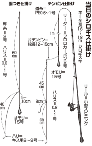 当日のシロギス仕掛け