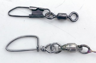 スナップの写真