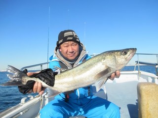 【釣果速報】シーバスのビッグウェーブ来てます！神奈川県長崎屋で72cmの大型シーバスGET！このチャンスを逃すな！