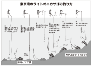 東京湾のライトオニカサゴの釣り方