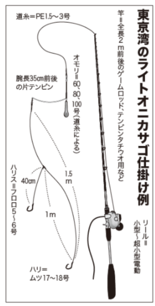 東京湾のライトオニカサゴ仕掛け例