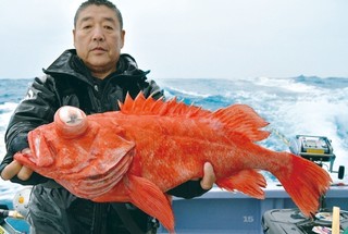 外房のメヌケ春へ向け上昇中　ビッグゲストも登場 !!