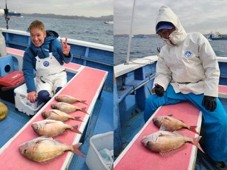 【釣果速報】神奈川県成銀丸が1.50kgの良型マダイゲットで好調！頼れる船長のもとで憧れのターゲットを釣ろう！