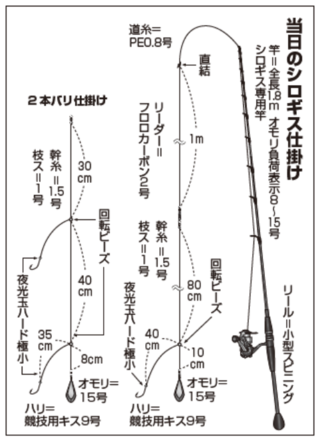 当日のシロギス仕掛け