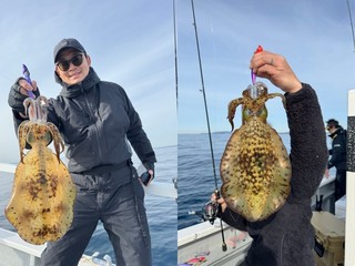 【釣果速報】厳しい状況の中、千葉県赤沼丸でアオリイカをキャッチ！絶品アオリイカを自分の手で釣り上げてみませんか？