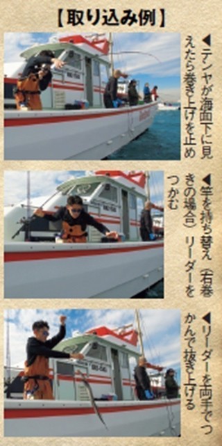 取り込みの写真