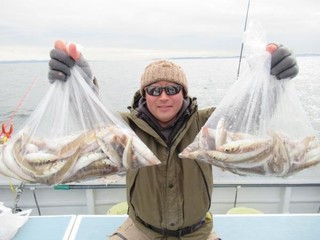 【釣果速報】神奈川県長崎屋で良型シロギスがどんどん釣れる！竿頭は303匹！好調続きの今が乗りドキ！        